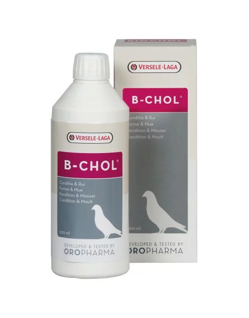 B-Chol Leberstärkungsmittel – Ergänzungsmittel für Tauben – 500 ml – Oropharma