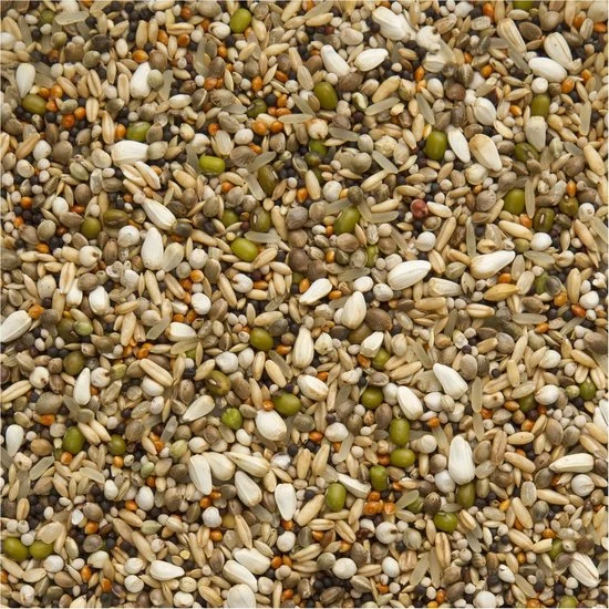 Premium Candy Seed Exclusive 20 kg - Beyers