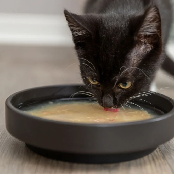 Trixie Kittis Shrimp Soup