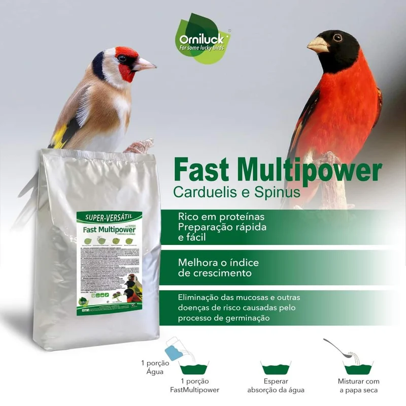Fast Multipower Carduelis & Spinus 1kg (selbstverpackt) - Grünes Eifutter
