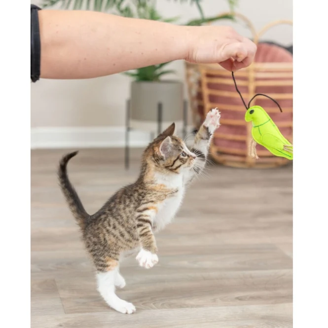 Trixie Insekten aus Filz mit Catnip