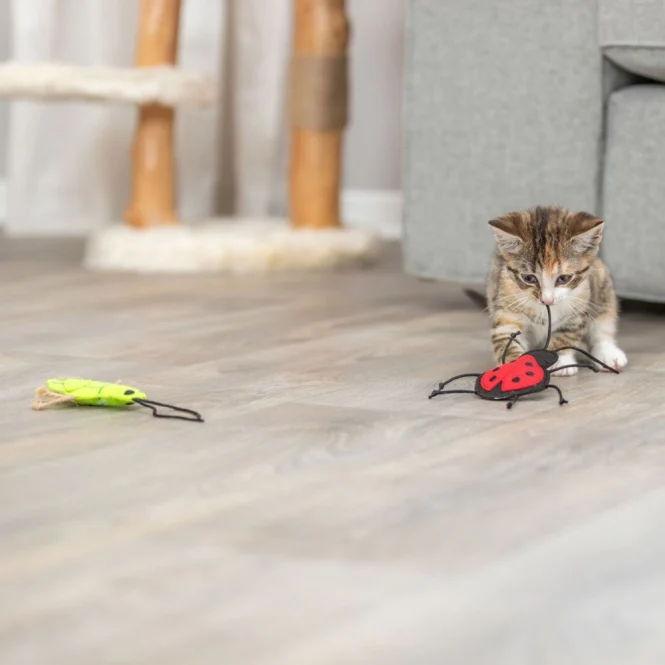 Trixie Insekten aus Filz mit Catnip
