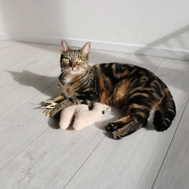 D&D Katzenkissen Latif