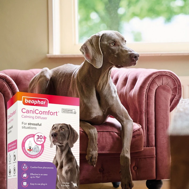 Beaphar CaniComfort Starter 48 ml