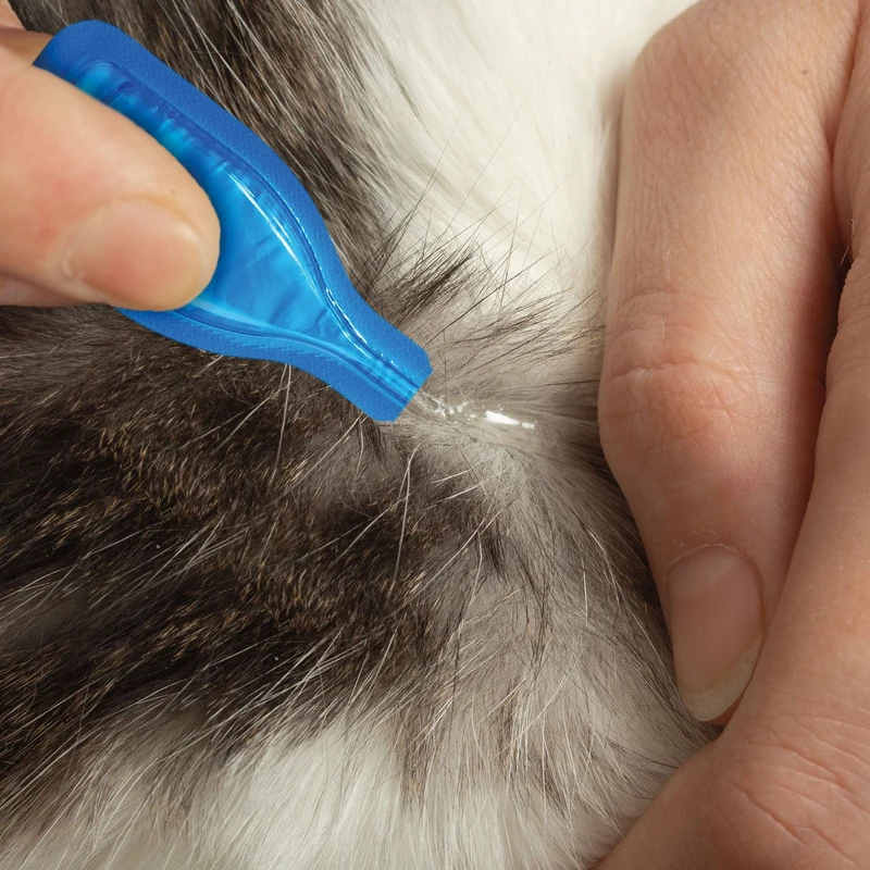 Beaphar Fiprotec for Cat 4 Pipettes