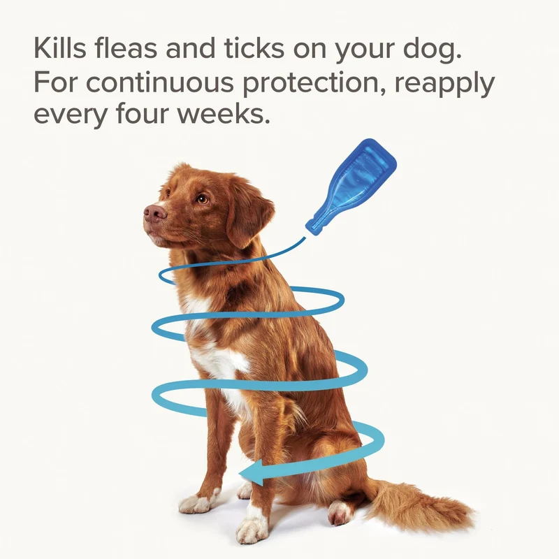 Beaphar Fiprotec for Large Dog 4 Pipettes