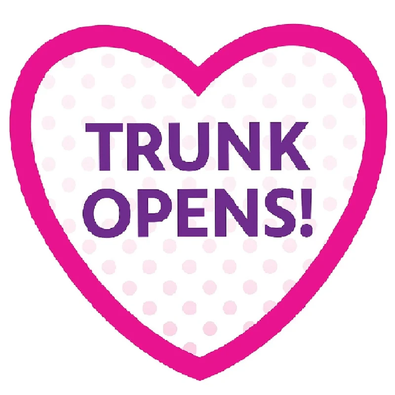 Just Play Minnie Mouse Figure & Vehicle Asst