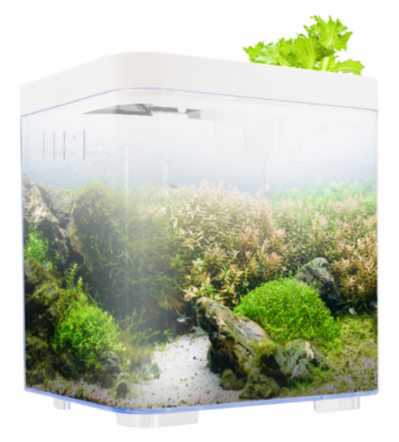 KW Zone Dophin Mini Betta Tank Kit Without Temperature Display 7L
