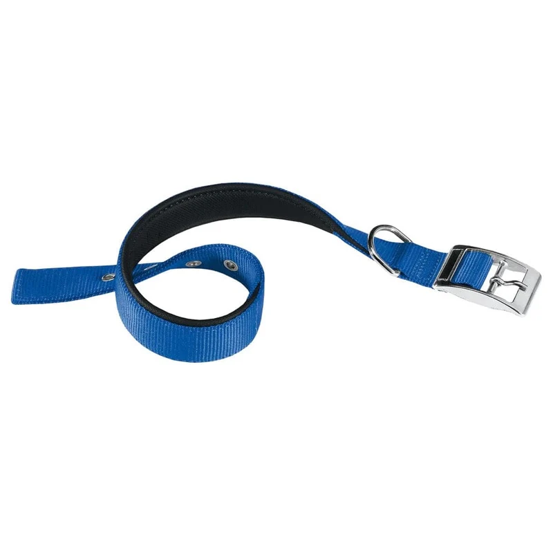 Ferplast Daytona C30/55 Nylon Dog Collar - Blue