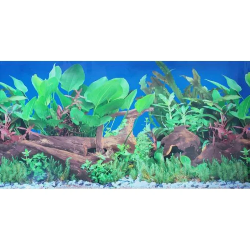 KW Zone Aquarium Backscreen
