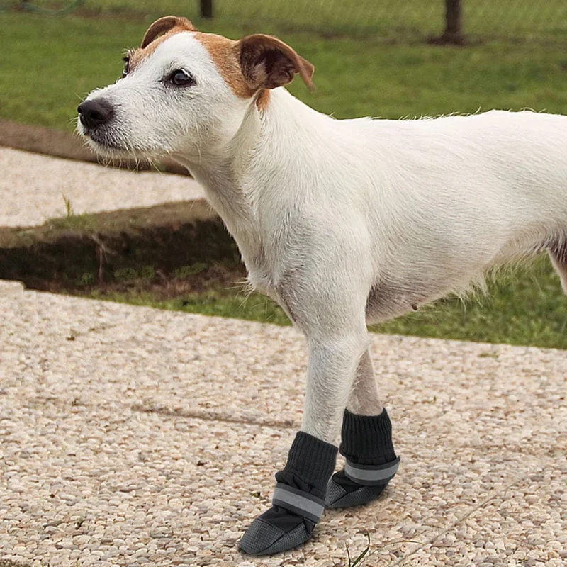 Ferplast Protective Dog Shoes - Black - Small