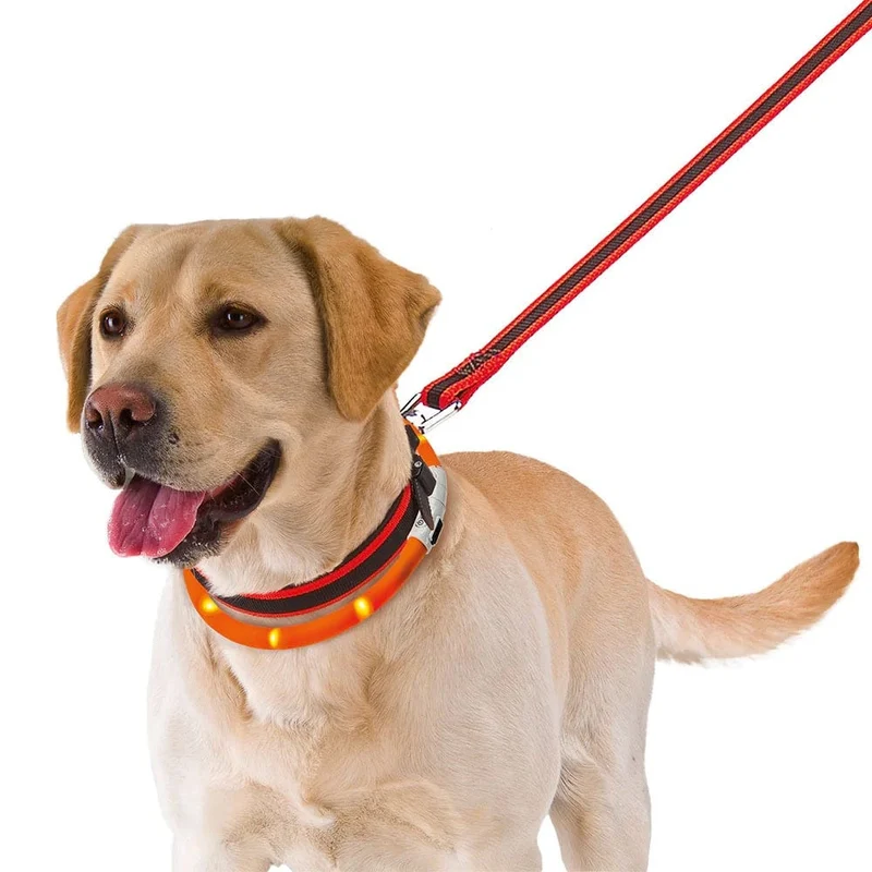 Ferplast Night Over Flash Collar 70