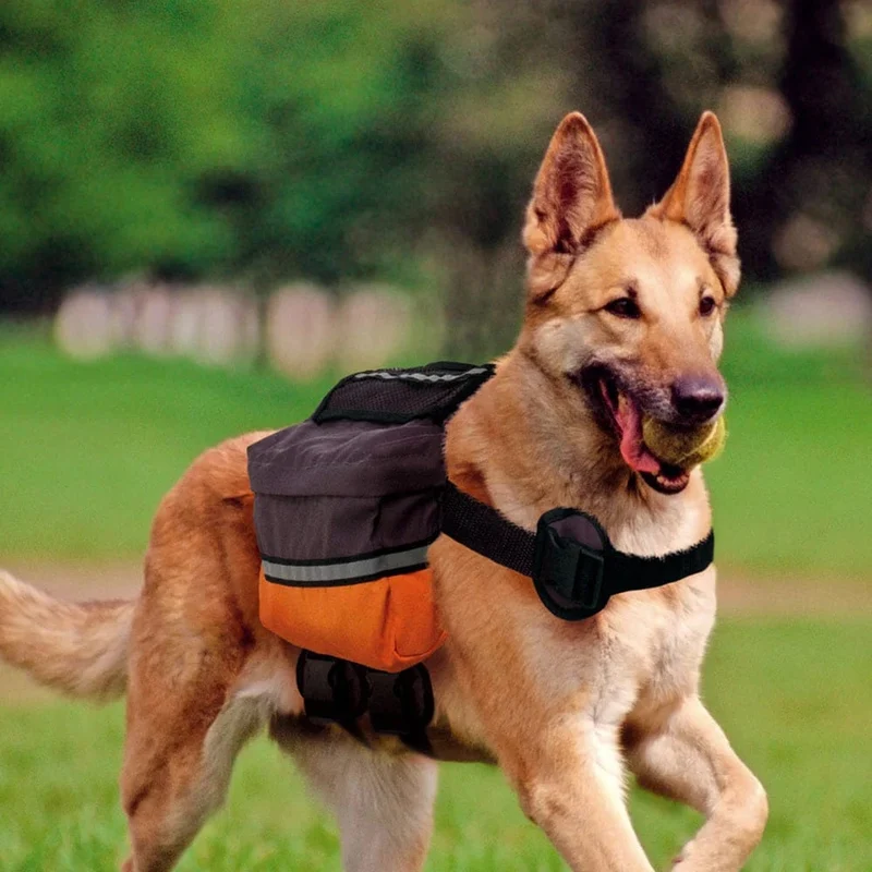 Ferplast Dog Scout Bag