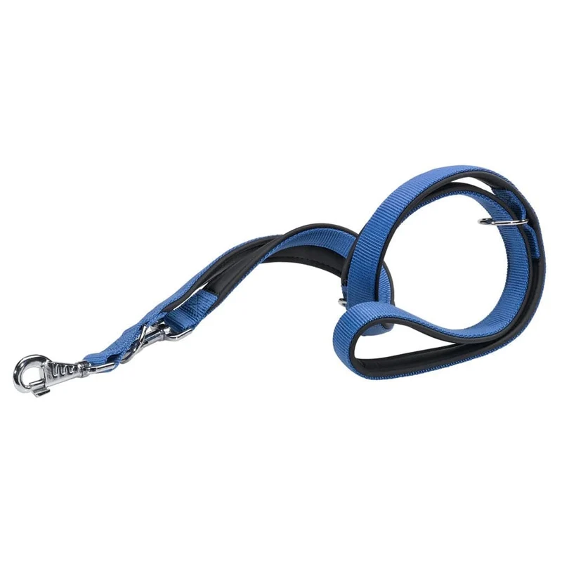 Ferplast Daytona GA20/200 Nylon Dog Leash - Blue