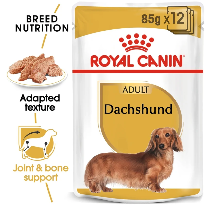 Royal Canin BHN Breed Health Nutrition Dachshund Adult Wet Dog Food 12x85gm