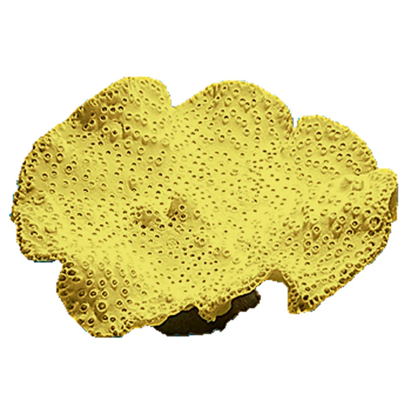 Nature's Image Turbinaria Peltata Replica Coral Yellow 13x12x7.5"