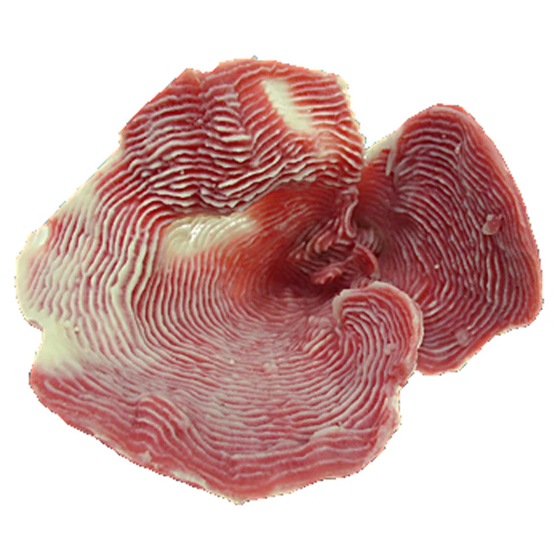 Nature's Image Ni-55C Pachyseris Speciosa Pink 5x5x4 Inch. Rugosa Replica Coral