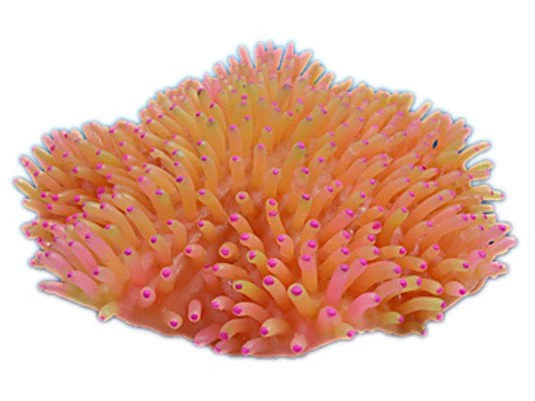 Nature's Image Ni-143B Heteractis Magnifica Pink 9x9.5x3.75 Inch. Carpet Anemone Replica Coral