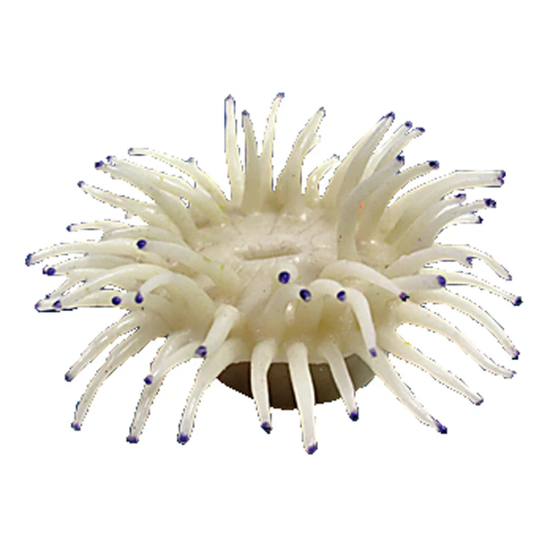 Nature's Image Ni-142A Macrodactyla Doreensis White 4.5x4.25x2.25 Inch. Big Foot Anemone Replica Coral