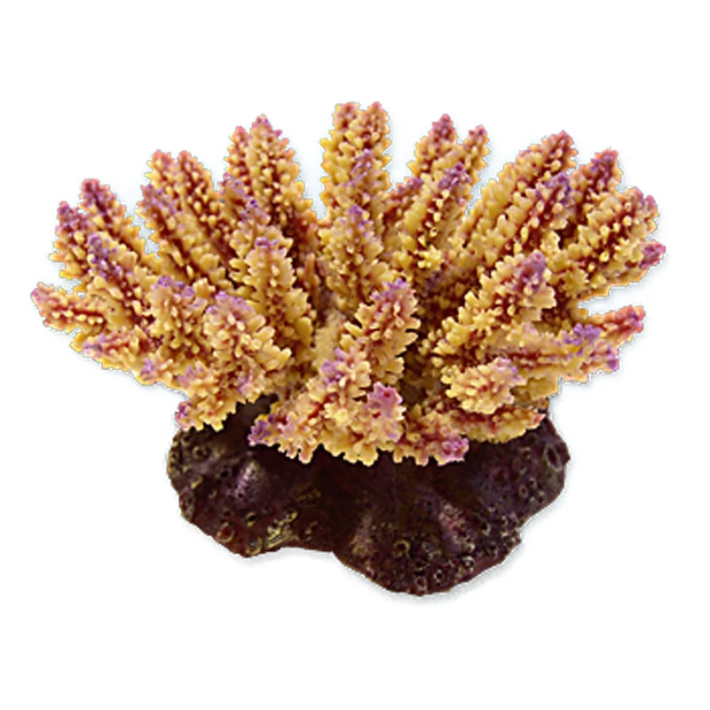 Nature's Image Ni-04A Acropora Polystoma Beige & Violet 5.5x4x3.5 Inch. Replica Coral