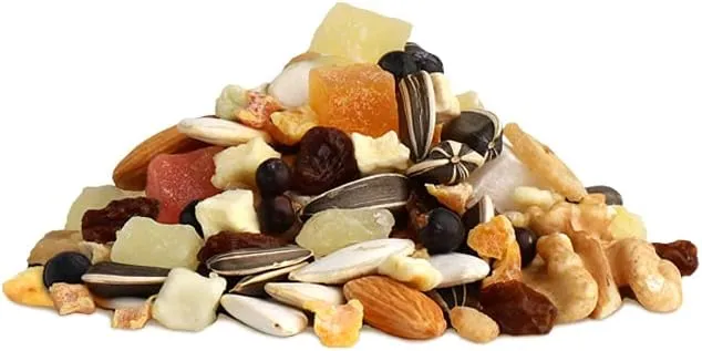 RIO Fruit and Nuts Mix Natural Treats for Birds 160gm