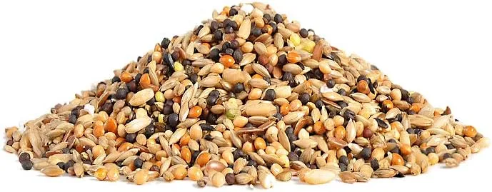 RIO Daily Food for Canaries 1kg