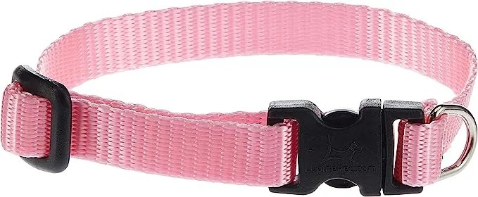 LupinePet Dog Collar 8-12" Pink 1/2"