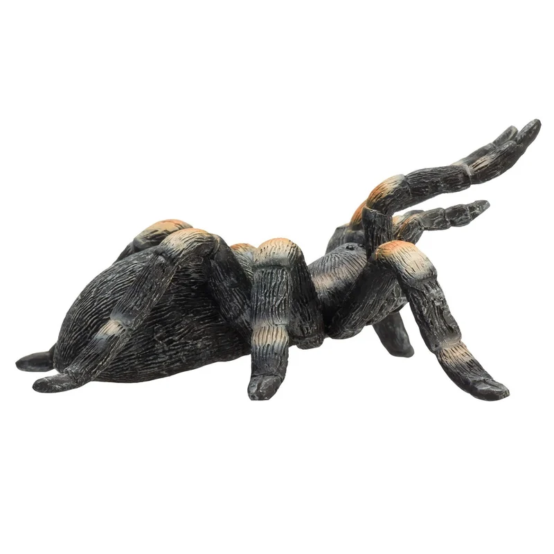 Animal Planet - Mojo Red Kneed Tarantula - Medium