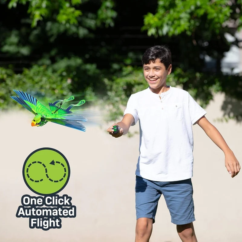 Go Go Bird - Green