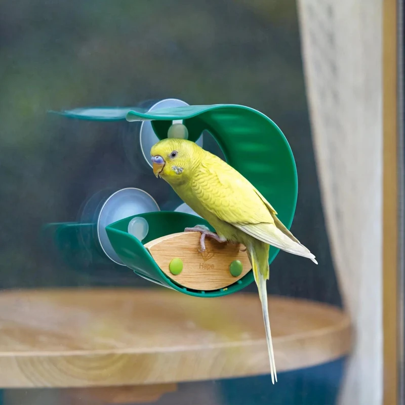 Hape Window Bird Feeder