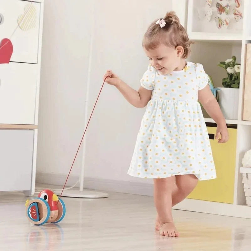 Hape Baby Bird Pull Along
