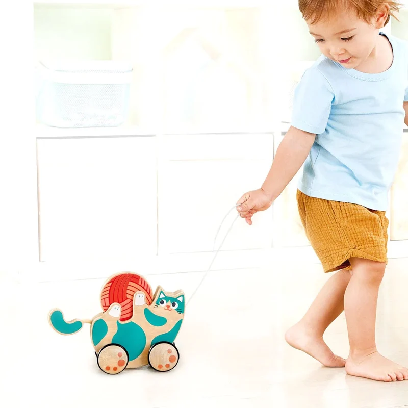 Hape Roll & Rattle Kitten