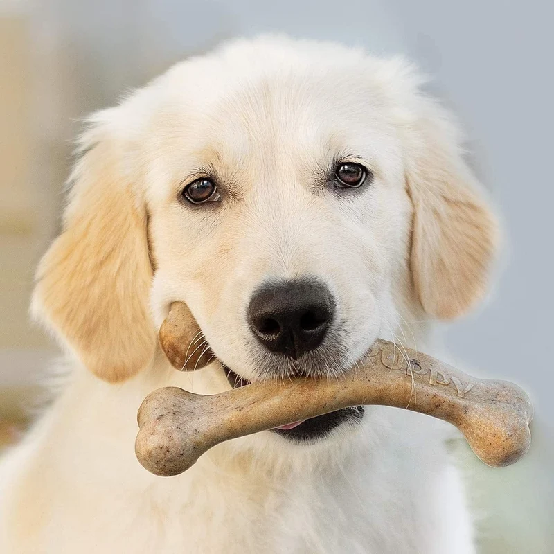 Benebone Puppy Wishbone Bacon - Medium