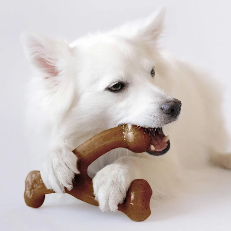 Benebone Wishbone Bacon - Medium