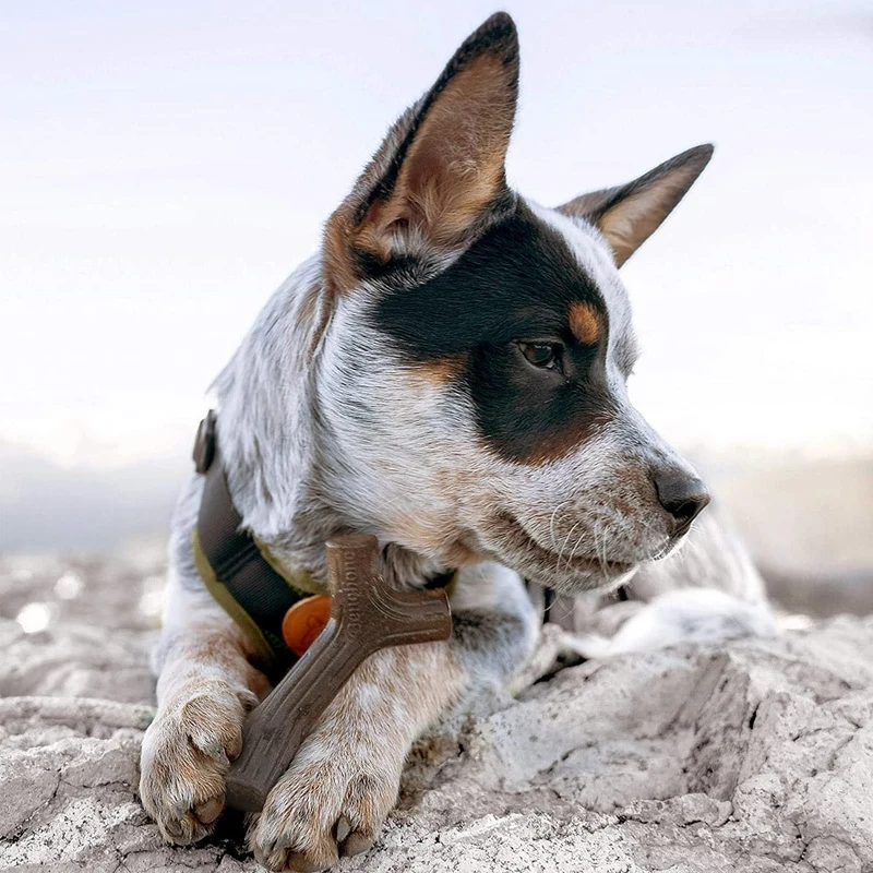 Benebone Puppy Maplestick - Small