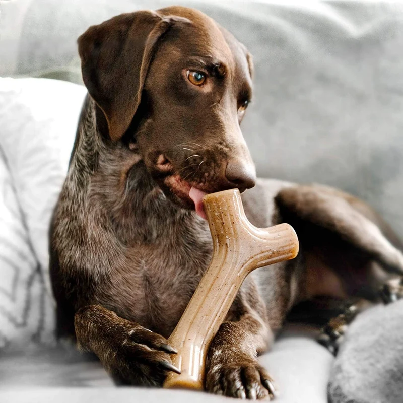 Benebone Maplestick - Large