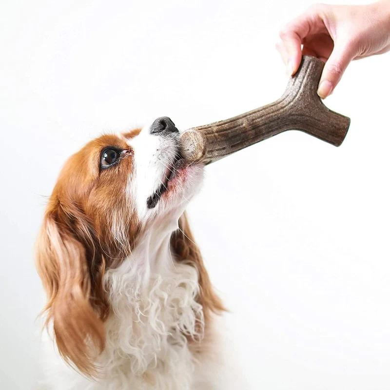 Benebone Maplestick - Medium