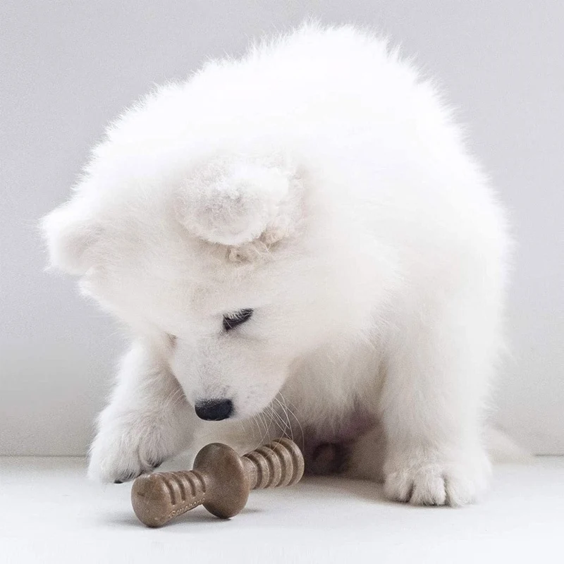 Benebone Puppy 2-Pack Maplestick/Zaggler Bacon - Tiny