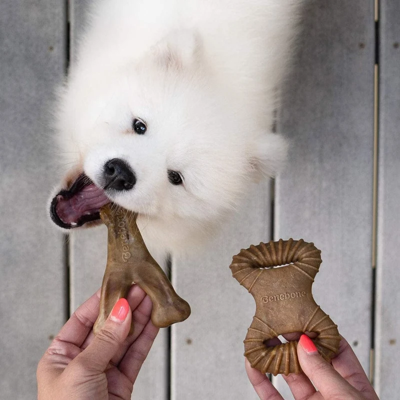 Benebone 2-Pack Dental Chew/Wishbone Bacon - Tiny