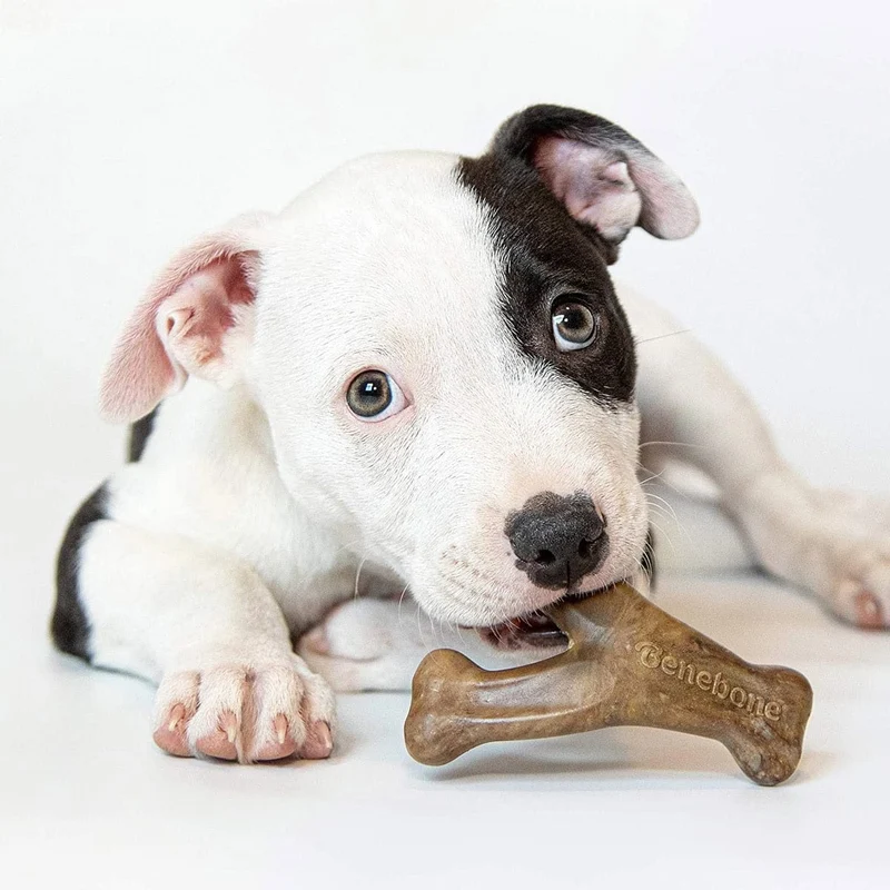 Benebone Puppy 2-Pack Dental Chew/Wishbone Bacon - Tiny