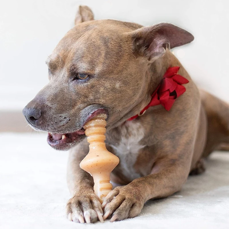 Benebone Zaggler Chicken - Medium