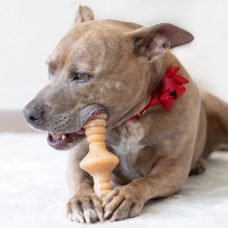 Benebone Zaggler Chicken - Small