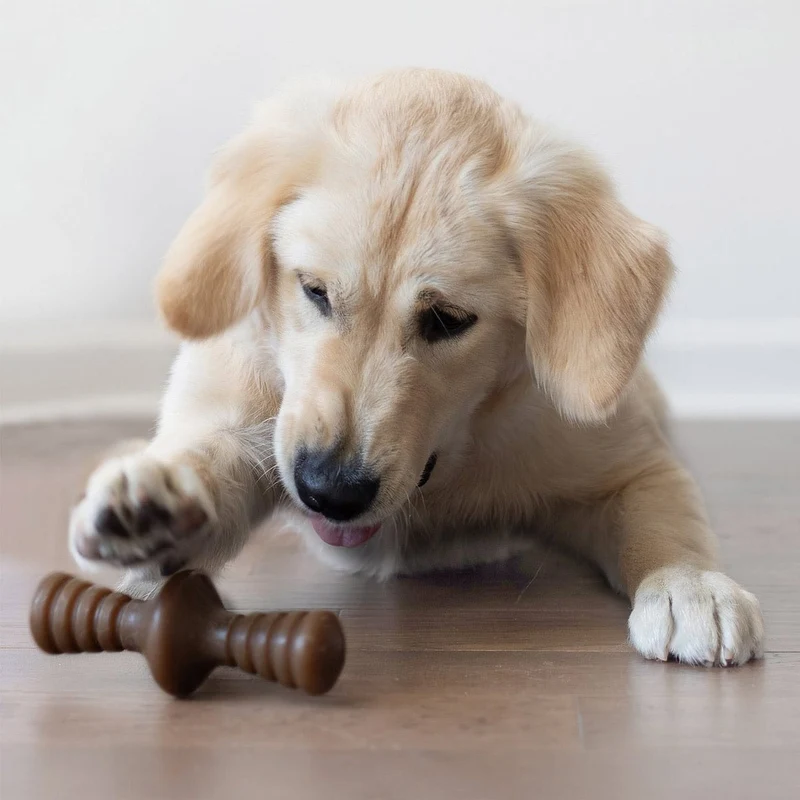 Benebone Zaggler Peanut - Small