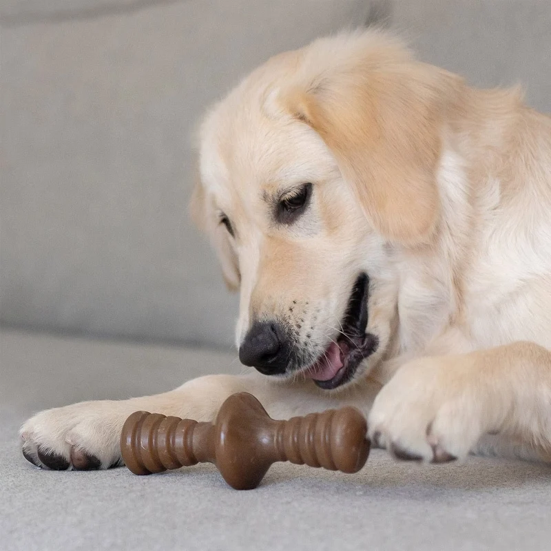 Benebone Zaggler Peanut - Small
