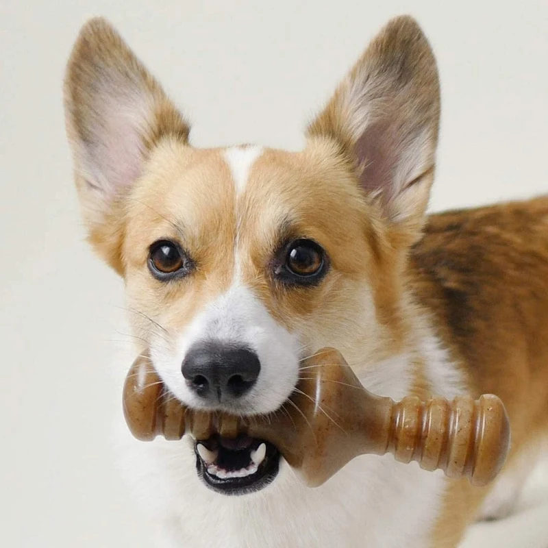 Benebone Zaggler Bacon - Small