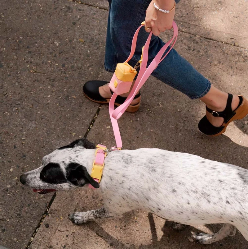Hundehalsband Pink Lemonade