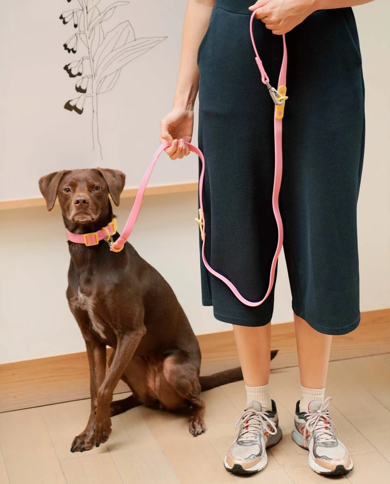 Hundehalsband Pink Lemonade