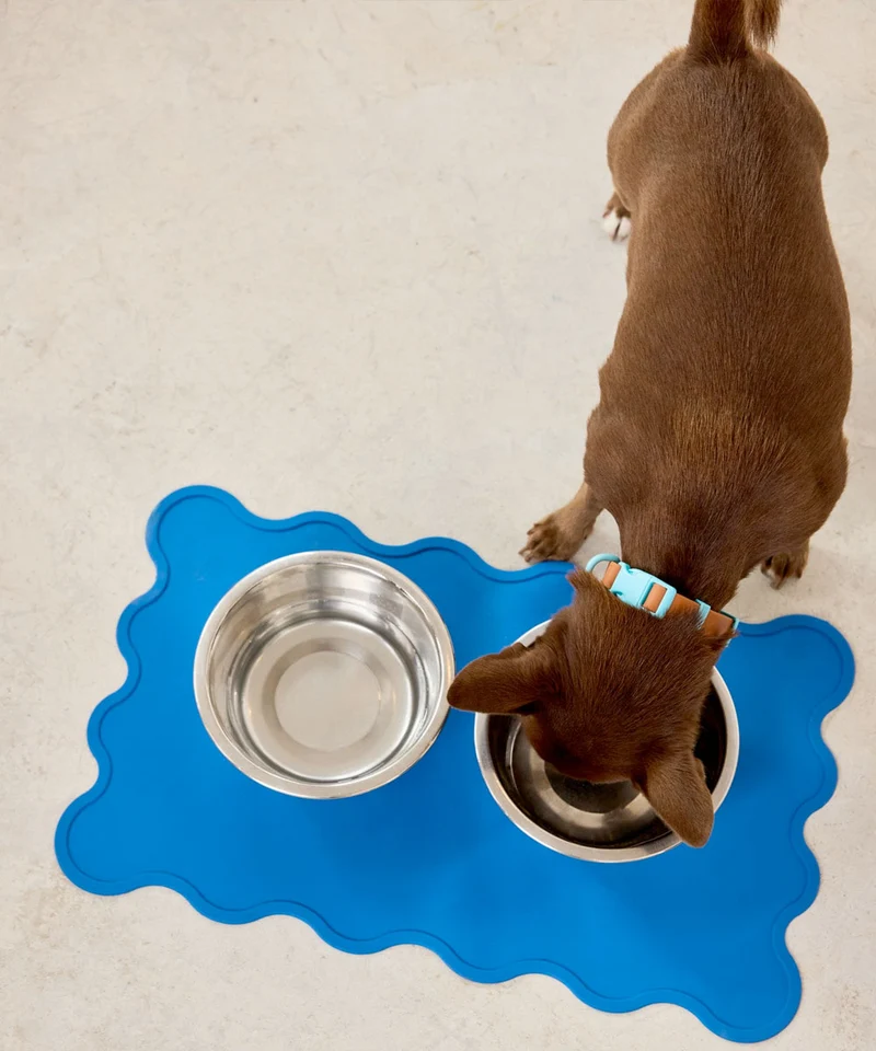 Hundehalsband Choco Blue
