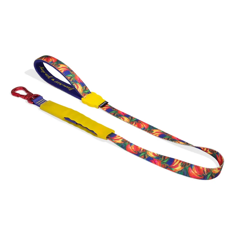 Hundeleine Airleash, Samba