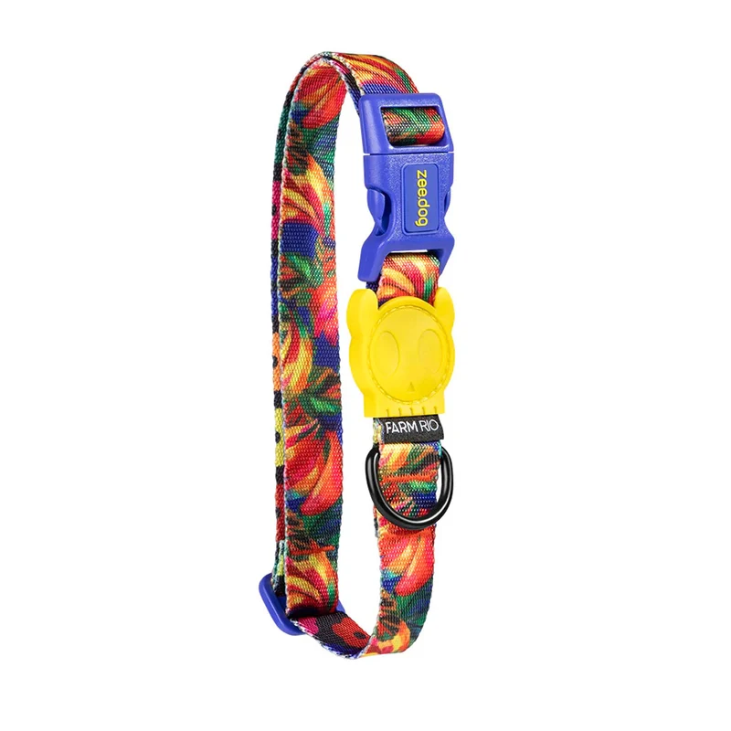 Hundehalsband Samba